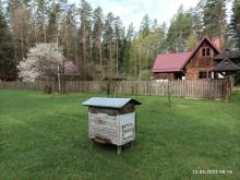 Warsztaty pszczelarskie na Buduku