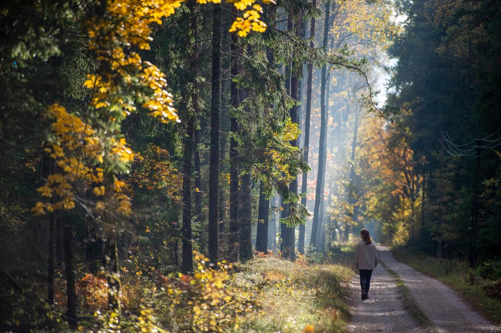 fot&#x2e;&#x20;Marek&#x20;Węgrzynowicz&#x2c;&#x20;Nadleśnictwo&#x20;Augustów