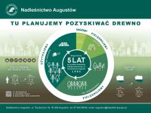 Prace pozyskaniowe w 2025