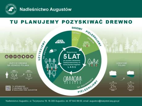 Prace pozyskaniowe w 2025